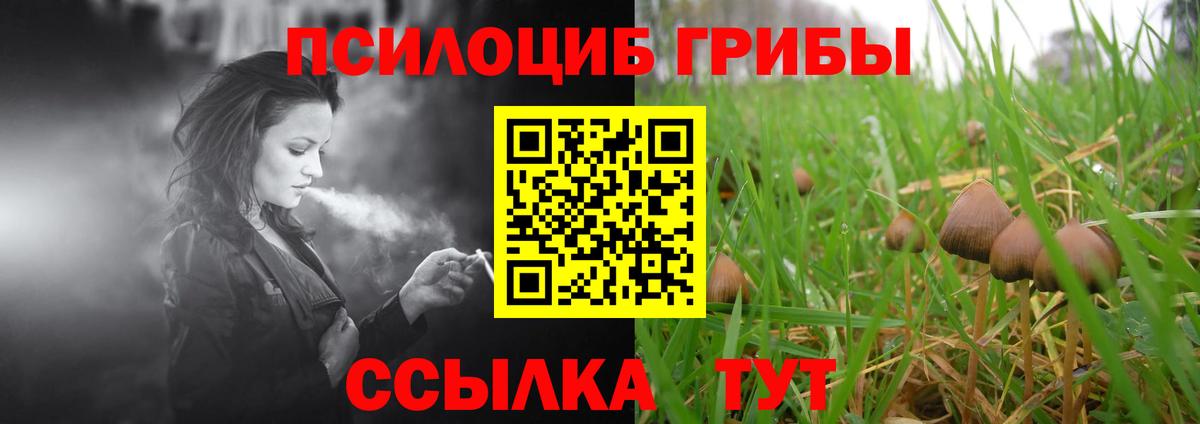 Псилоцибиновые грибы ЛСД Урус-Мартан