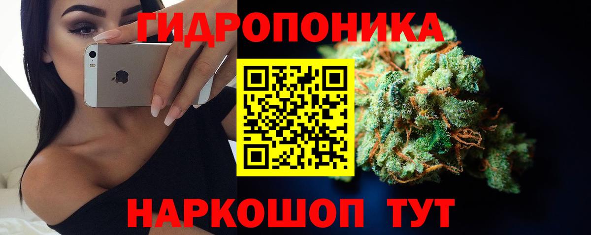Каннабис MAZAR  Шишки марихуана планчик  Марихуана марихуана  Урус-Мартан  Вход с VPN  Конопля сатива 